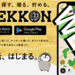 【TEKKON】話題のWeb3アプリとは？マンホール撮影でインフラ危機から街を守ろう！